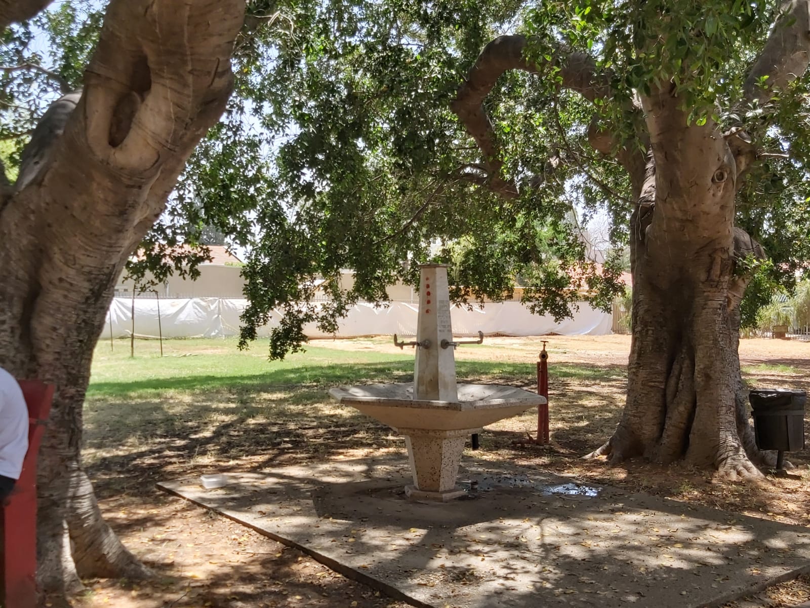 WhatsApp Image 2020-05-21 at 11.50.24 (3)