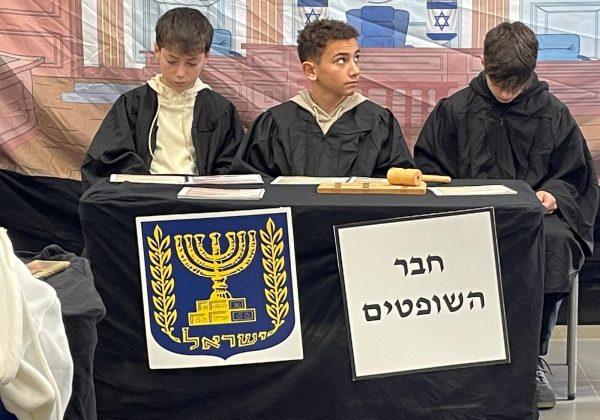 משפט זוטא בחממות מצוינות למשפטים