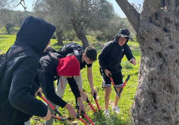 מתחברים לחקלאות- שכבת ט’