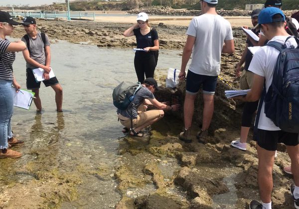 מגמת ביולוגיה – ביוסיור כיתה יא’
