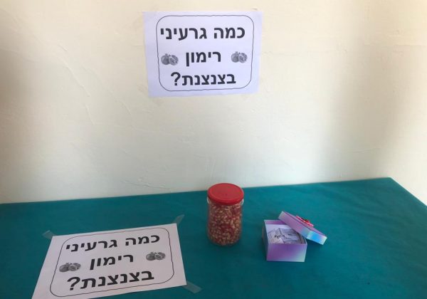 כמות גרעיני רימון יש בצנצנת?🤔