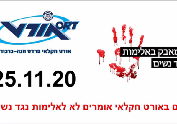 יום המאבק לאלימות נגד נשים 2020 – סרטון